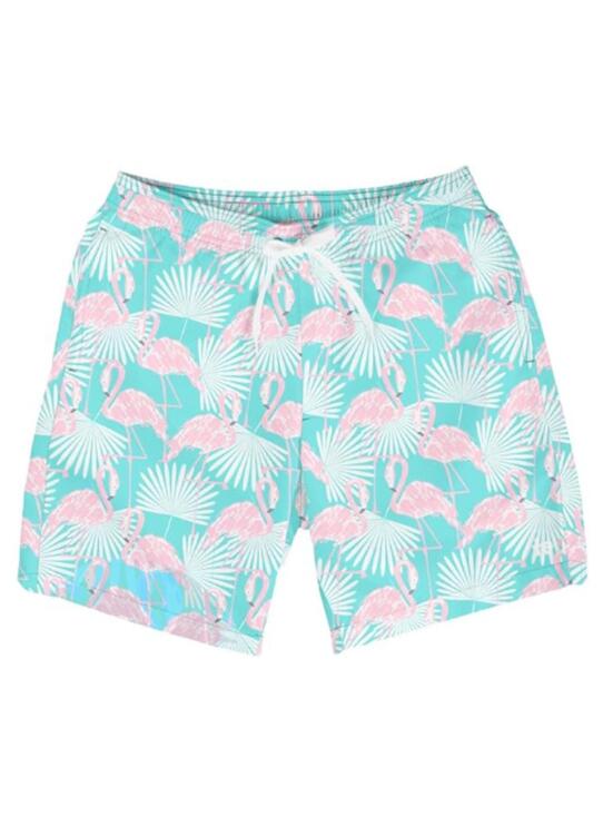 Tipsy Elves Other - NWT Tipsy Elves Men's Flamingo Swim Trunks Size Large